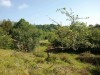 Terreno rústico protegido de 23790 m2 en Nansa - Casamaría